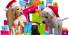 Christmas 2983901 1920